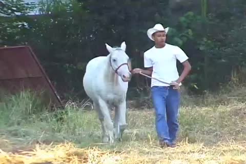 Farmer gets his dong sucked By Tthis guy Stableguy