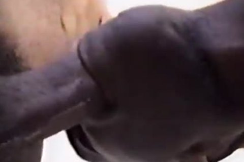 group Of black boys Turning On For Each Other