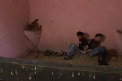 lustful burglars are caught easily