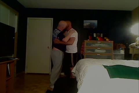 The bald bears are back