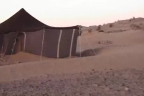Arabian Desert webcamp Sex