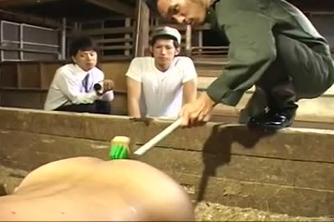 (new sexual) homosexual Milk Farm-01