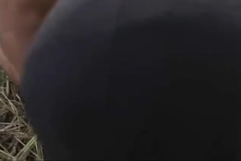 (new sexual) homosexual Milk Farm-01