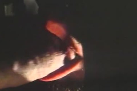 Nubian Horses - Scene 1