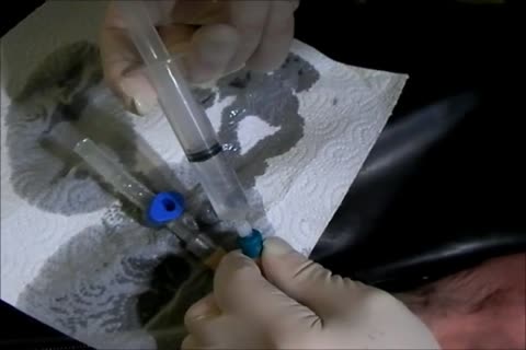 Catthis guyter slaveboi