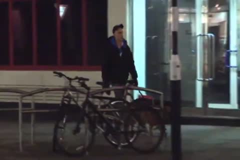 daddy poke dogsitter