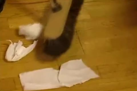 deliciousel´s Jerkoff