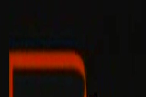 Zsw2