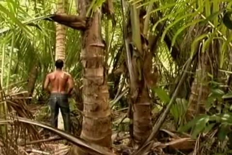 Foreskin Frenzy - Scene 2