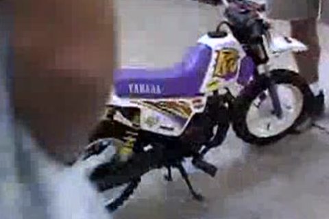 Mike Radcliff - Bodybuilder / Wrestler Tag Team Smother Of Little guy