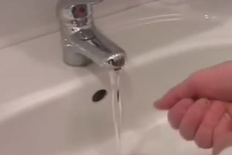 Russian dudeent And teacher