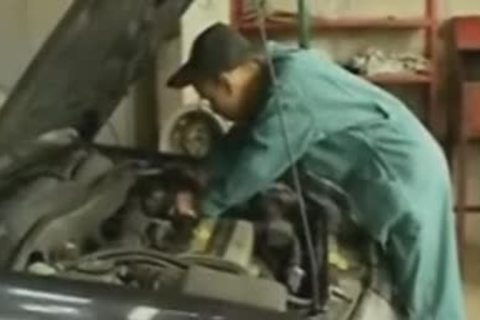 Mechanique en Tunisie: Threeway Lube and Tune-Up