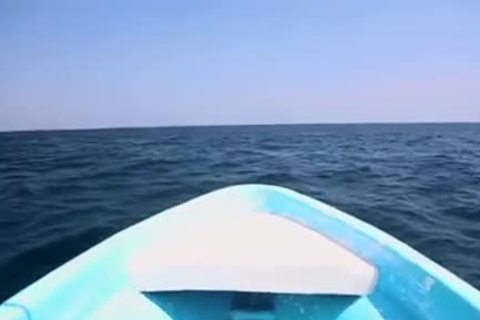 Da7e, Co7by & Gabrie7