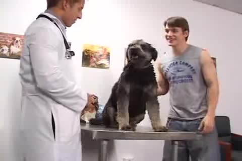 filthy Animal's Doctor