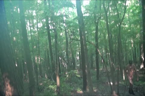 Nature hike & more