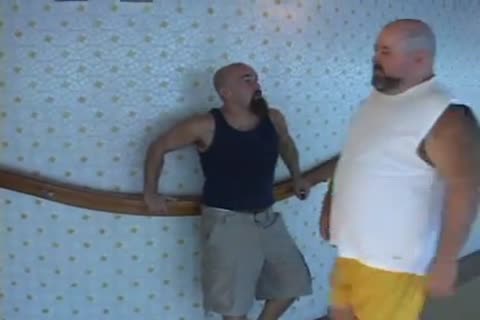 Crucero De Osos 2 4/5