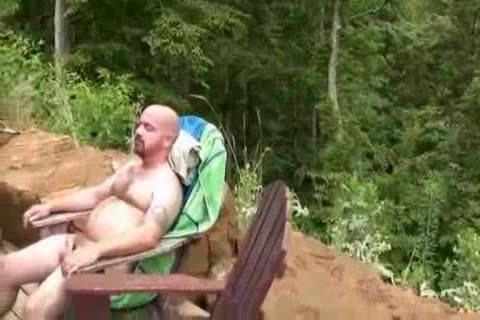 Campground Bears
