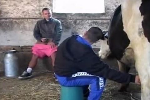 Gay Barn Sex - Homosexual Farm HD Sex Videos - Gay Male Tube