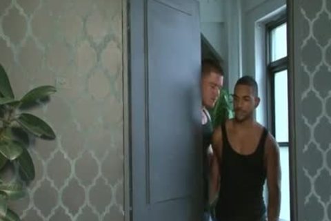 The sleazy
ter The better - Sebastian young &