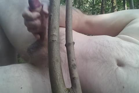 Rubbing My penis between Tree Branches In The Woods.