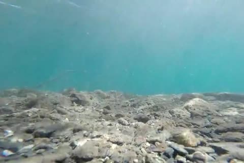 Alas, Summer Is Done And It Brings To An End The Swimming Season.  The Last Of The Water Shots In Various States Of costume And undress Are Here.  have a pleasure Not One, But Two love juice Shots In This Footage.