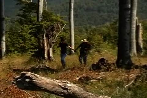 A young gay threesome In The Forest!