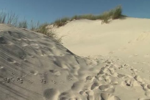 Beach-bums-scene-1