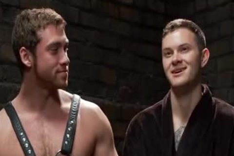 Hermafroditas Tesudos