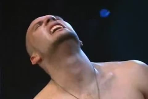 Cockfight 1
