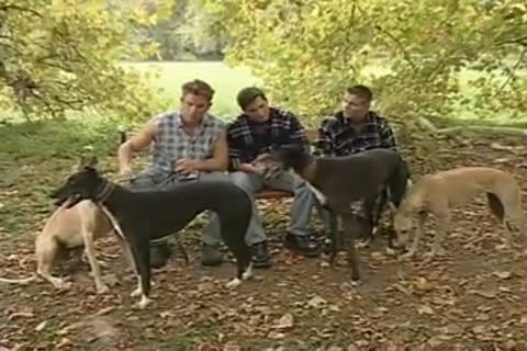 superlatively yummy Of GV