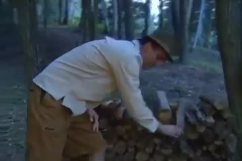 naughty Scouts In The Woods bare