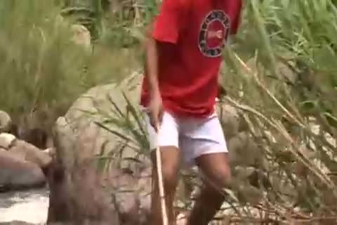 At The slothful River