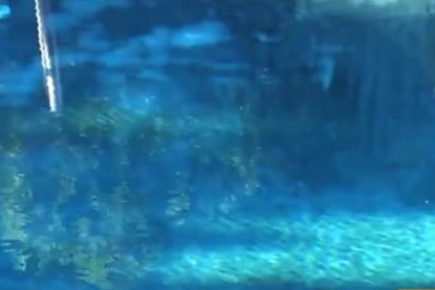 The fuckfests Anthology Disc two - Scene two
