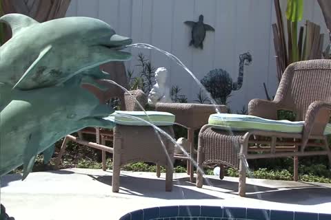 Tampa St Pete cum - Scene 4