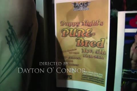 Puppy Night's Pure Bred FULL video