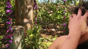 The Island - Damien Stone & Javier Cruz American plow