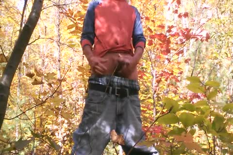 slutty, Autumn Forest, And I With My knob!