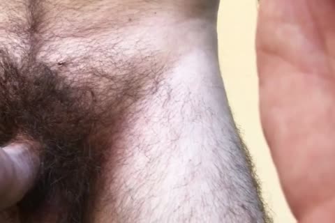 Do you Like gigantic Bushy Bush