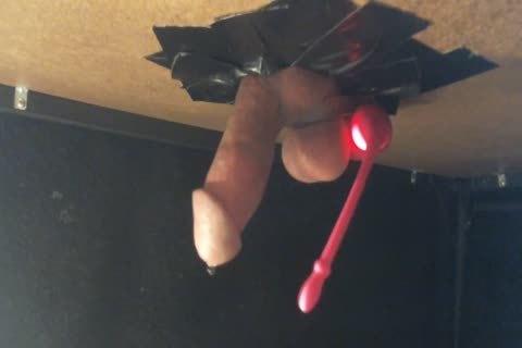 Hands-free Lush Teasing On web camera