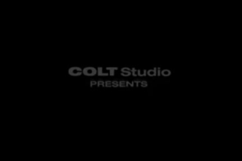 The Company We Keep