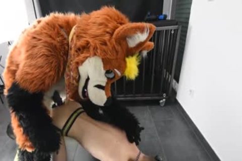 Puppy acquires fucked By Fursuit With  fake penis