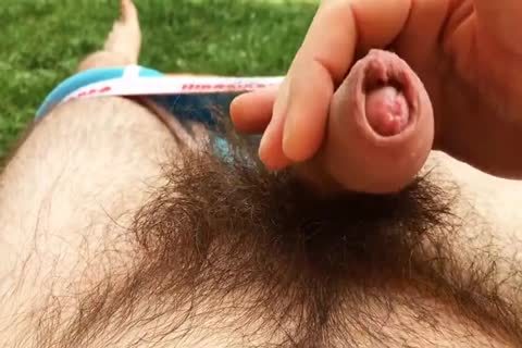 Do you Like large bushy