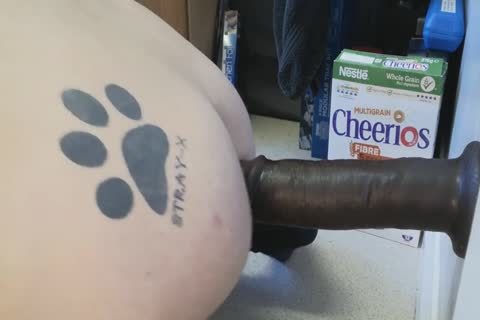 David Anderson Manchester Sunday joy Day Gaping