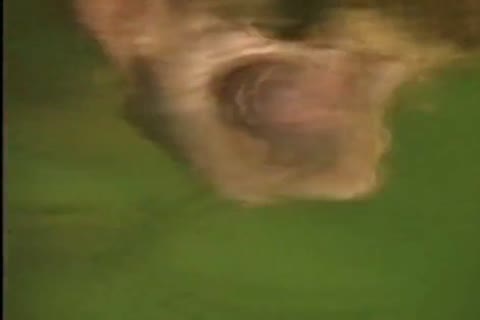 El Rancho - Cumpilation