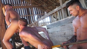 Falcon Studios: Brian Bonds is really hairy bodybuilder