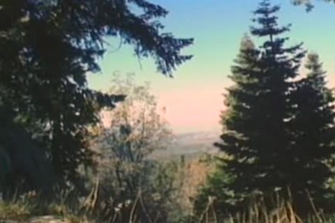 Mein Kock (1991)