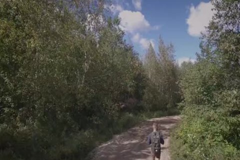 Into The Woods