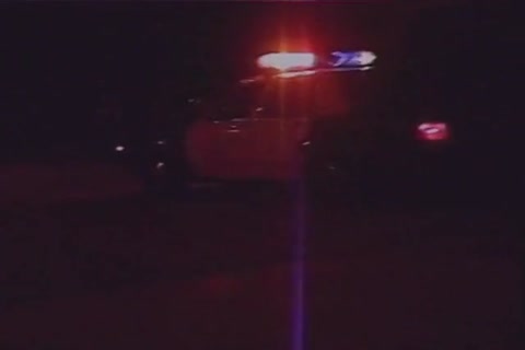horny Cops