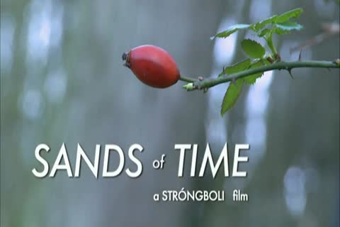 Sands Of Time