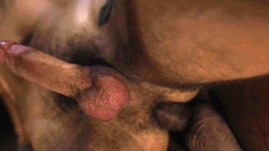 IconMale - American anal fucked indoor